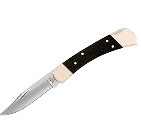 best camping knife: Folding Hunter Lock-back Knife